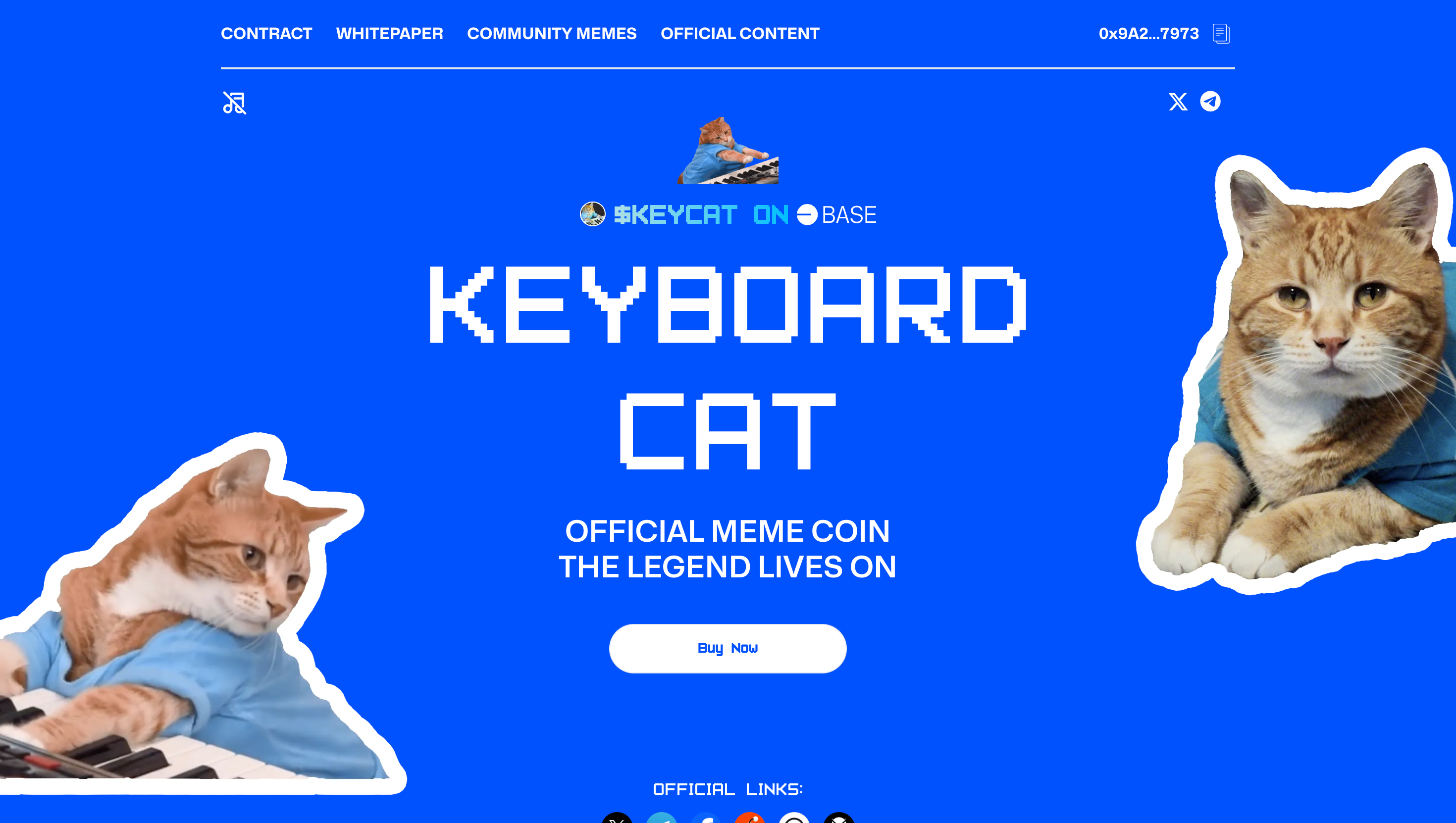 Keyboard Cat